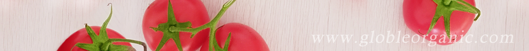 UHMWPE板